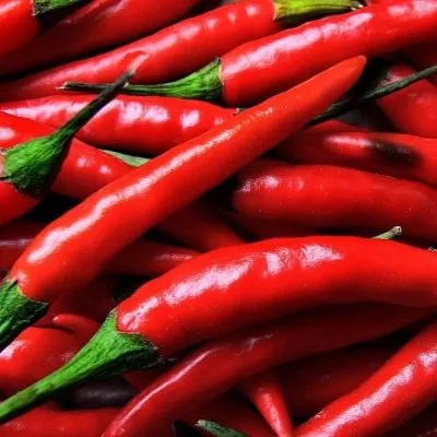 kope-indeytsa-main-190941