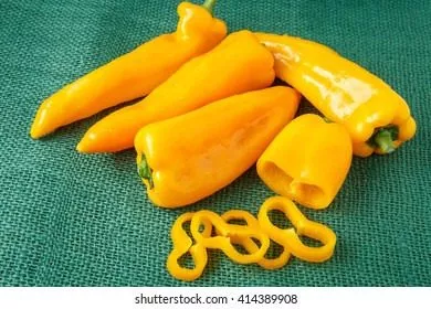 korno-di-toro-zheltyy-main-185268