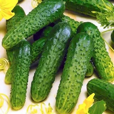 korol-gryadki-4-197611