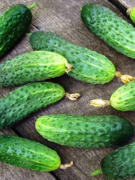 korol-gryadki-main-197611