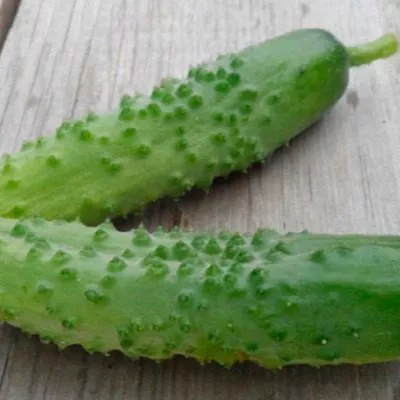 korolevskie-palchiki-7-192116