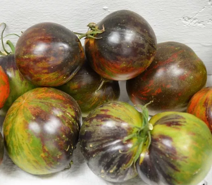 kosmicheskoe-zatmenie-11-176505