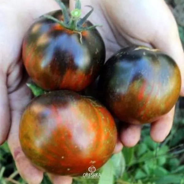 kosmicheskoe-zatmenie-3-176505