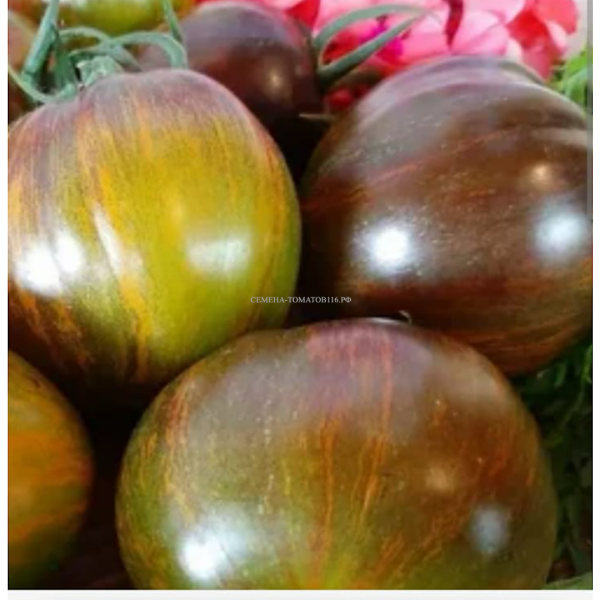 kosmicheskoe-zatmenie-6-176505