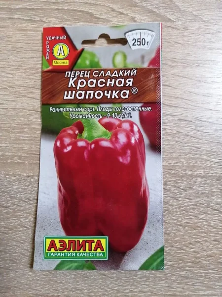 krasnaya-shapochka-1-185346