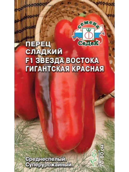 krasnaya-zvezda-6-180489