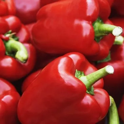 krasnaya-zvezda-7-180489