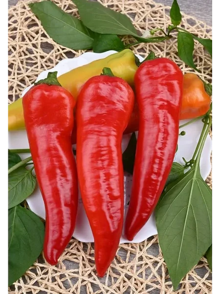 krasnoe-kope-main-188874