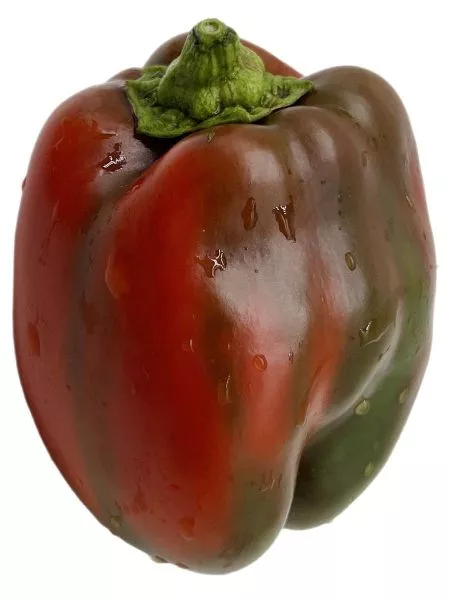 krasnyy-kub-1-180276