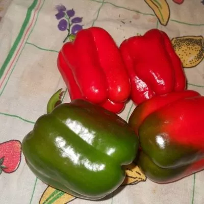 krasnyy-kub-6-180276