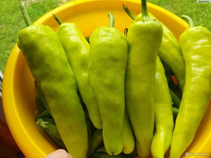 krasnyy-mech-2-187431