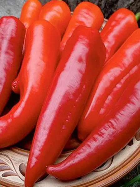 krasnyy-mech-main-187431