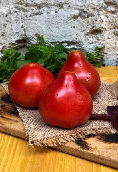 krivyanskiy-4-176158