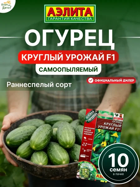 kruglyy-urozhay-1-198588