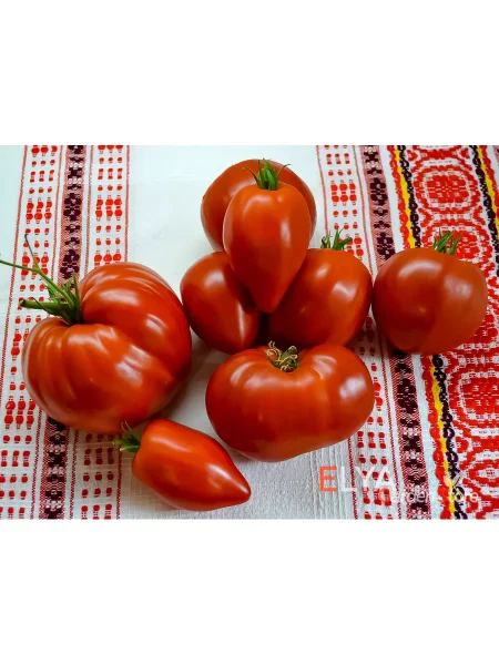 kyzyl-tau-main-170433