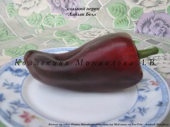 laylak-bell-3-180124