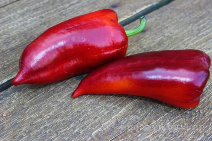 laylak-bell-7-180124