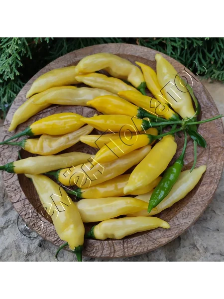 lemon-drop-lemon-drop-1-188169