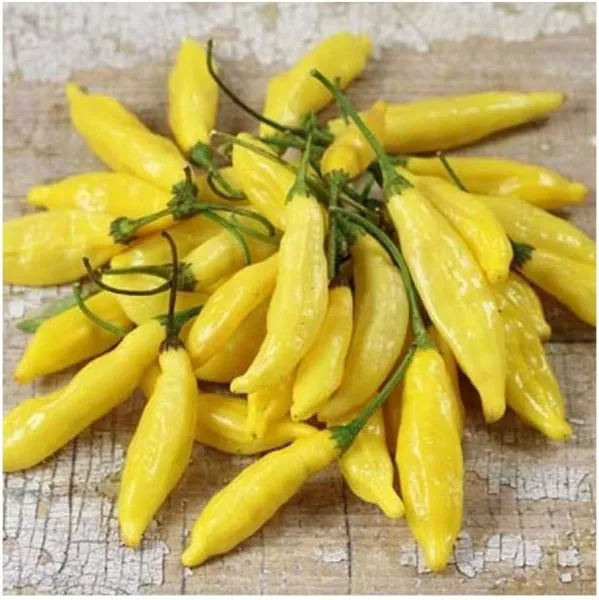 lemon-drop-lemon-drop-main-188169