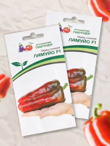 lido-lamuyo-4-180212