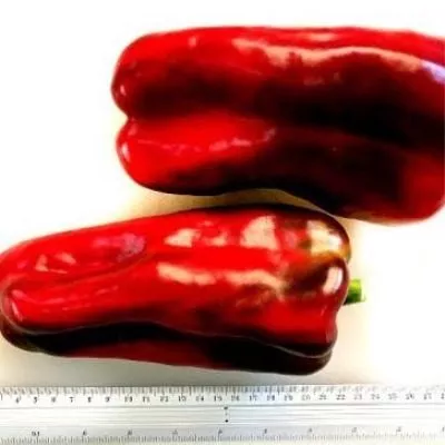 lido-lamuyo-6-180212