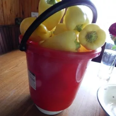 limonnoe-chudo-7-180530