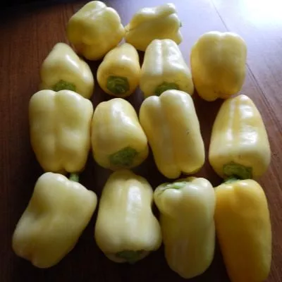 limonnoe-chudo-8-180530