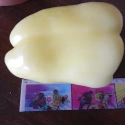 limonnoe-chudo-9-180530