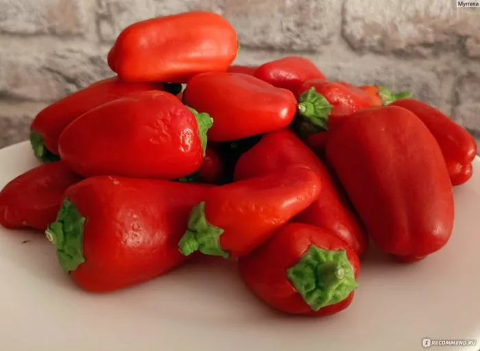 lisichka-krasnaya-3-188384