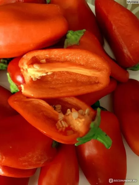 lisichka-krasnaya-7-188384