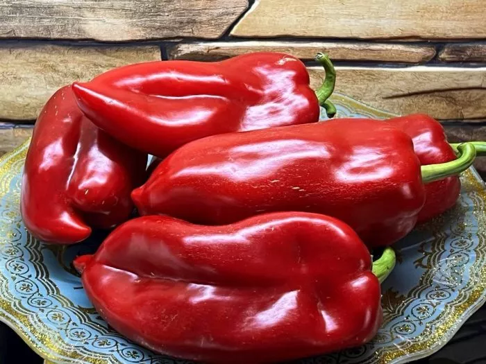 lyubimchik-main-184171