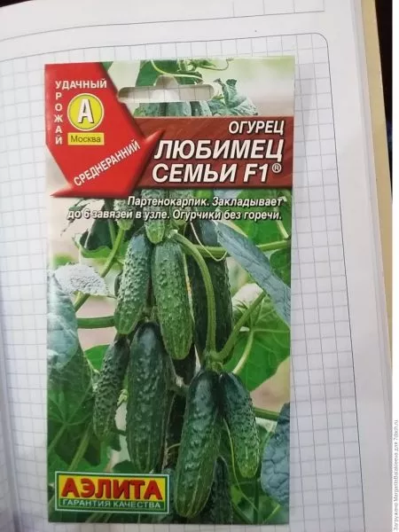 lyubimets-semi-1-192497