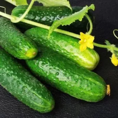 lyubimyy-zyatek-5-199705