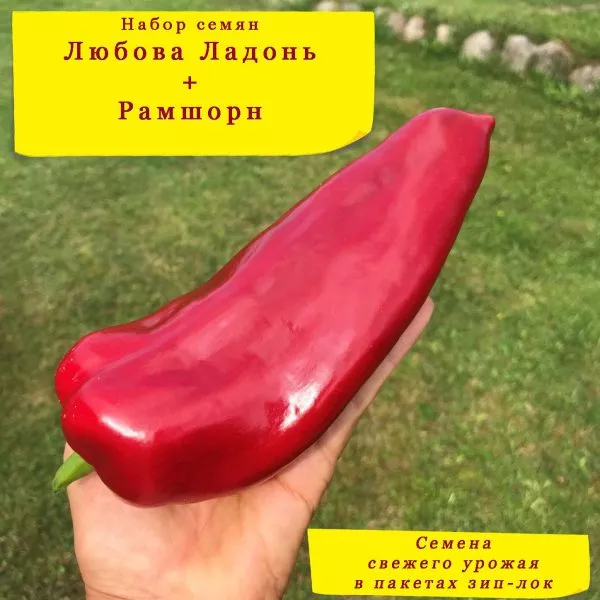 lyubova-ladon-10-180803