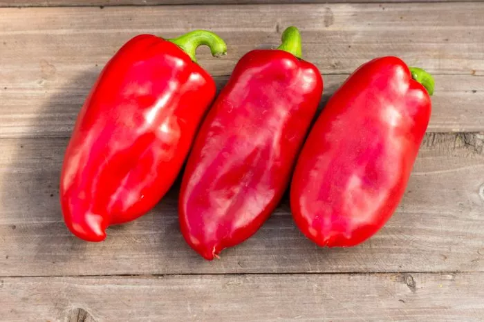 lyubova-ladon-11-180803