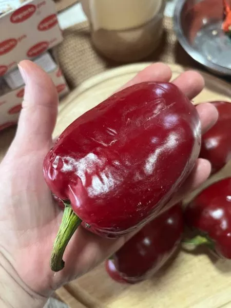 lyubova-ladon-3-180803