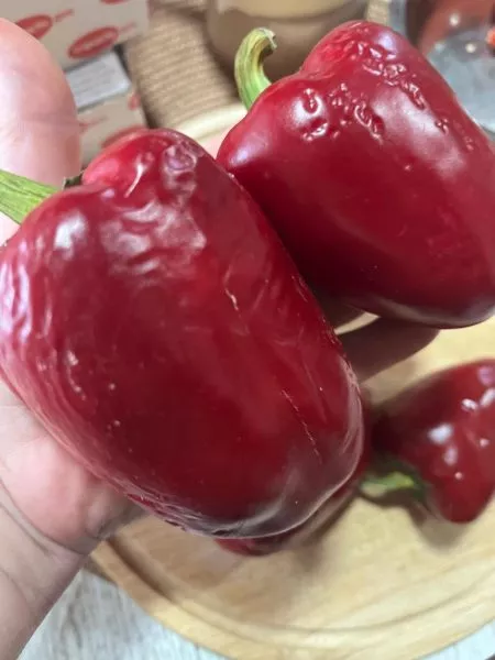 lyubova-ladon-7-180803