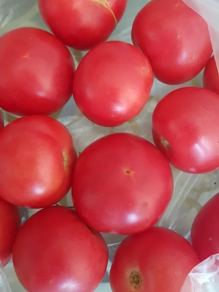 madam-kurazh-main-172318