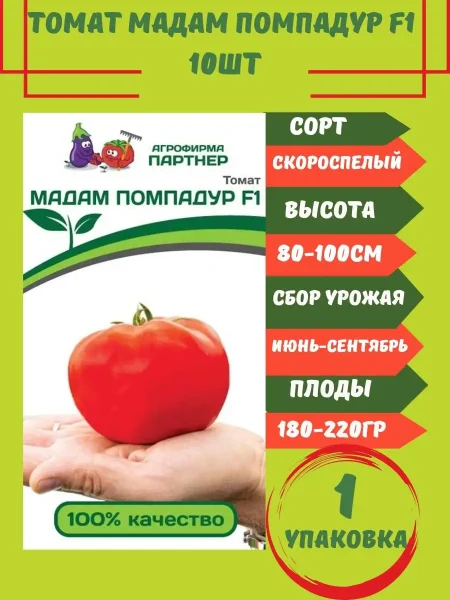 madam-pompadur-4-174782