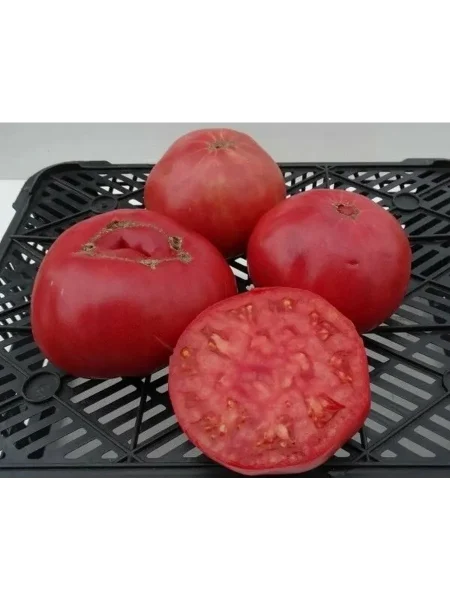 malinovka-main-176057