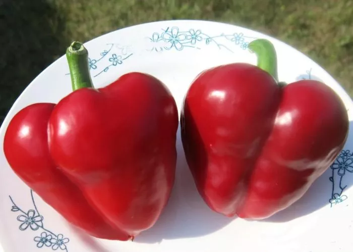 malinovoe-serdtse-3-179352