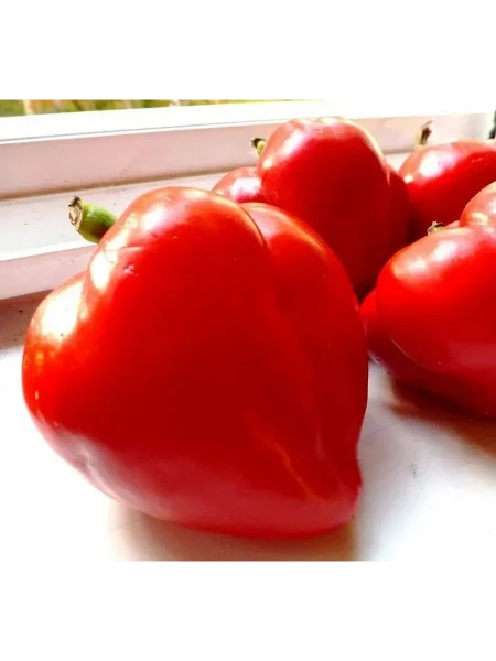 malinovoe-serdtse-5-179352