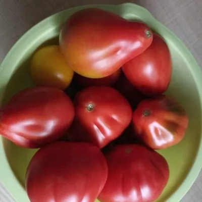 malinovyy-silach-5-171483