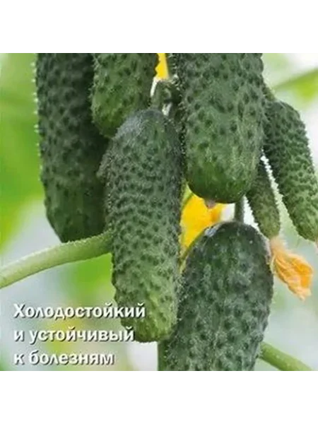 malyshi-karandashi-1-192778