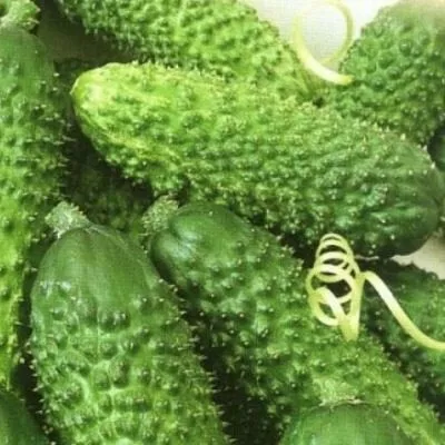 malyshi-karandashi-7-192778