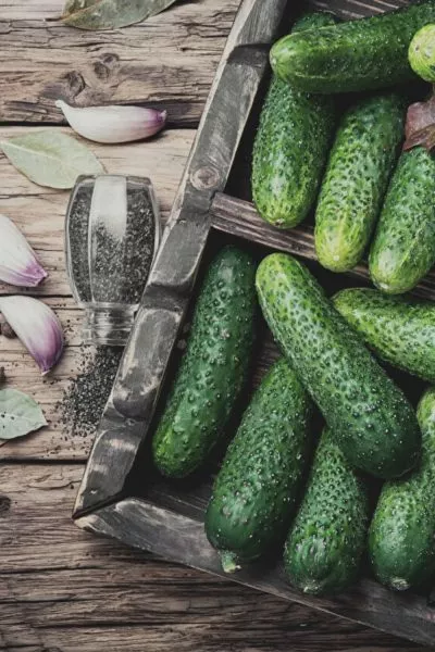 malyshi-karandashi-main-192778