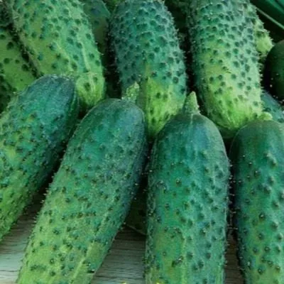 malyshok-krepyshok-4-200923