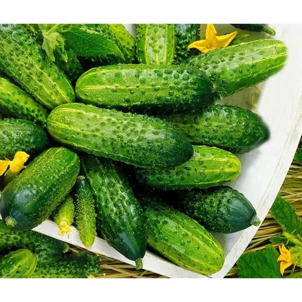 malyshok-krepyshok-main-200923