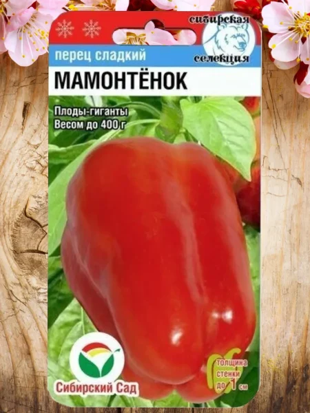 mamontenok-main-185292