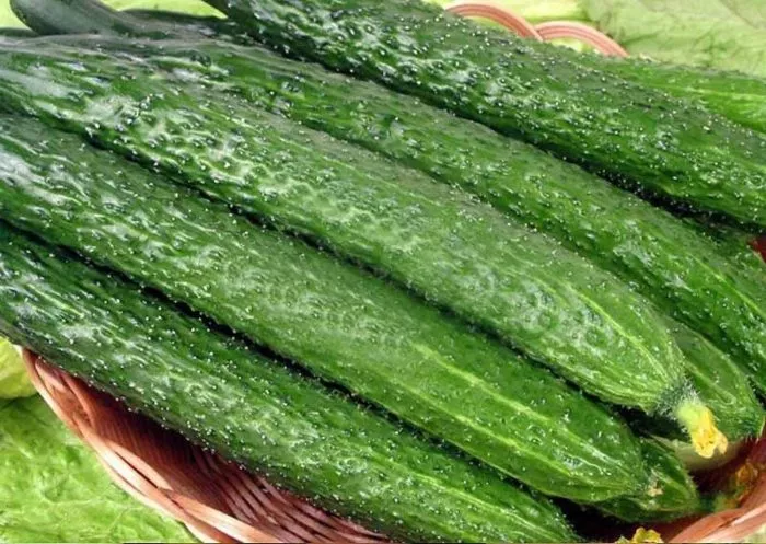 manchzhurskiy-imperator-4-197295